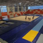 Многофункциональный спортивный комплекс - Сопка