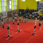 Спортивный комплекс, физкультурно-оздоровительный комплекс - Спортивная школа олимпийского резерва №2. СШОР №2