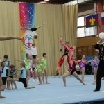 Спортивный клуб акробатики и прыжков на батуте им. В. Мачуги