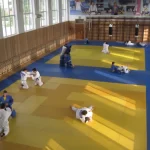 Спортивный клуб борьбы по дзюдо и самбо