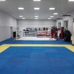 Спортивный клуб боевых искусств - Святогор