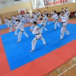 Спортивный клуб - Taekwondo center