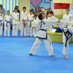 Семейный фитнес-клуб - Taekwondo Land