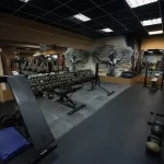 The fitness arena