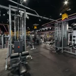 The fitness arena