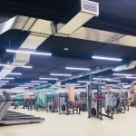 The fitness arena