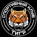 Академия баскетбола - Tigers