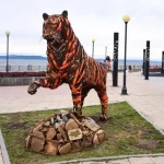 Спортивный клуб - Тигры Владивостока
