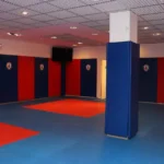Физкультурно-спортивный клуб вольной борьбы - Троя
