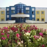 Дворец спорта - Центр физической культуры и спорта Рузаевского района. Дворец спорта