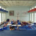 Центр спортивной гимнастики им. А.П. Заплатина. Спортивная школа