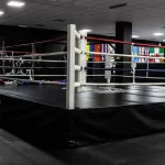 Клуб единоборств - Undefeated Boxing Gym