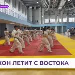 Спортивный клуб - Восточный дракон