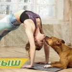 White dog yoga