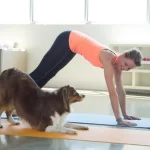 White dog yoga