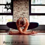 Who yoga&stretch