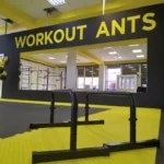Студия силовой гимнастики, студия силовой гимнастики занятия на турниках, центр физической подготовки - Workout Ant