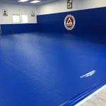 Zenit _bjj