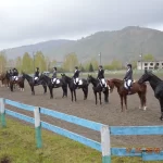 Конно-спортивный клуб - Золотая лошадь