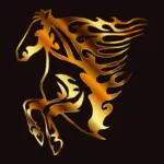 Спортивный клуб Золотая лошадь
