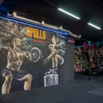 Клуб единоборств - Apollo Gym