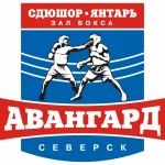 Спортивный комплекс - Авангард