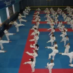 Спортивный клуб каратэ Киокусинкай - Bokken karate club