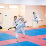 Челябинская школа боевых единоборств №1. Школа единоборств №1