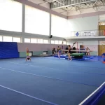 Физкультурно-оздоровительный комплекс единоборств - Детско-юношеская спортивная школа