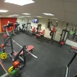 Fox fitness