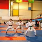 Спортивный клуб - Ippon