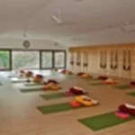 Центр йоги - Iyengar yoga school