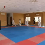 Спортивный клуб - Jaguarundi Dojo