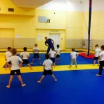 Спортивный клуб по дзюдо, гимнастике и йоге - Judo club Ippon