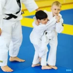 Спортивный клуб по дзюдо, гимнастике и йоге - Judo club Ippon