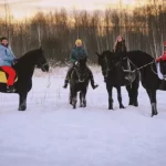 Спортивный клуб - Конный двор