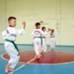 Детско-юношеский спортивный клуб тхэквондо - КВОН