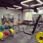 Спортивный клуб - Mechanic Gym