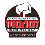 Спортивный клуб - Молот