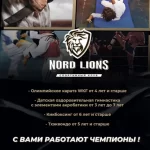 Спортивный клуб - Nord lions