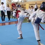 Спортивный клуб - Pioneer taekwondo wt