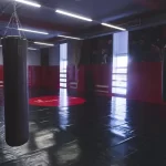 Спортивный клуб боевых искусств - Сибирский барс