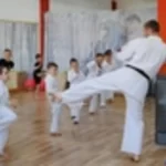 Спортивный клуб каратэ кёкусинкай для детей