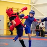 Спортивный клуб по ушу-саньда и кикбоксингу. Ушу и кикбоксинг