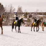 Конноспортивный клуб - Золотой мустанг